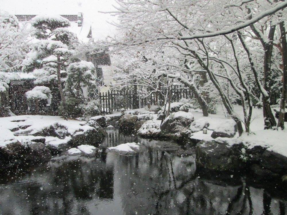 Tokyo Winter