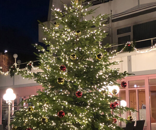 Christmas Tree in Germany