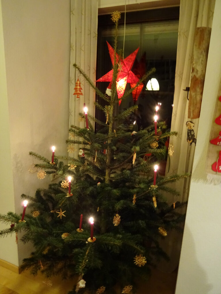 Christmas Tree on the Christmas Holidays