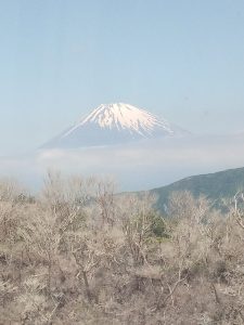 Mt. Fuji Floating on a Cloud